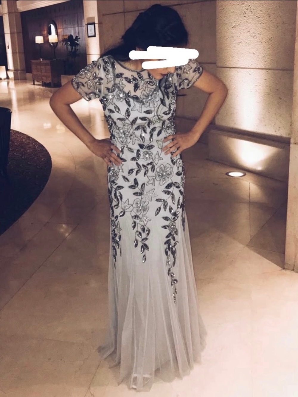 Adrianna Papell Silver Embellished Dress Gown